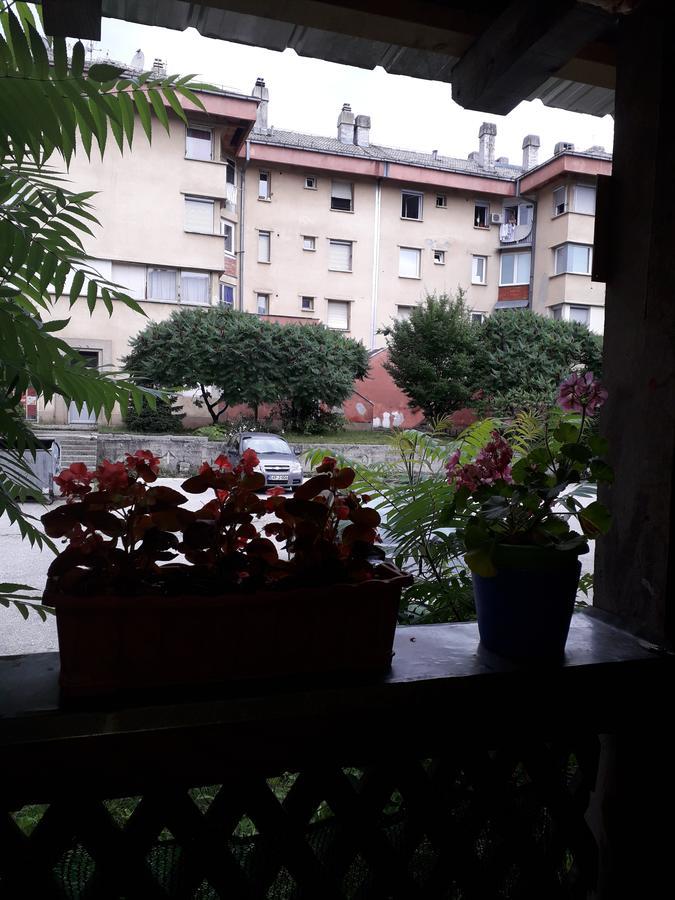 Apartments Lela Бихач Экстерьер фото